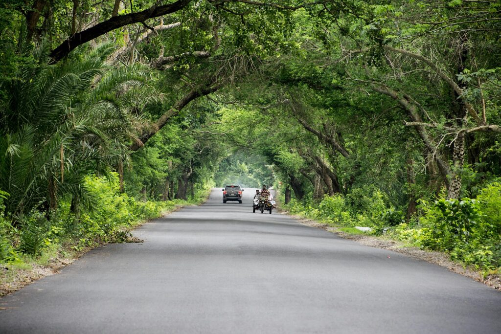 Car on a tree-lined road, illustrating auto loan length and total cost