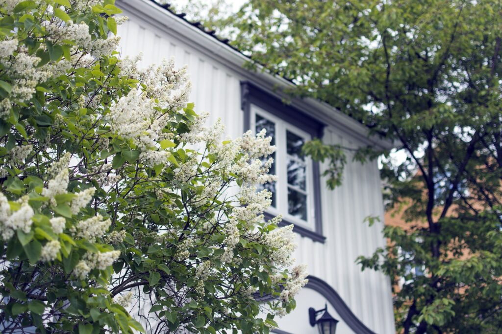 White house exterior for a guide on how to read a Loan Estimate